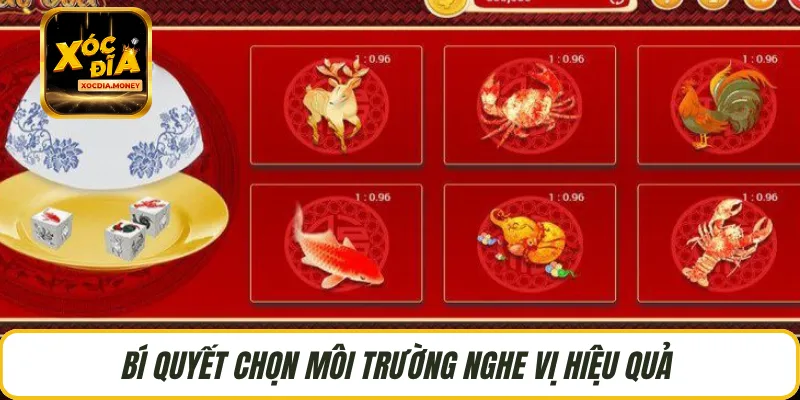 Bí quyết chọn môi trường nghe vị hiệu quả 