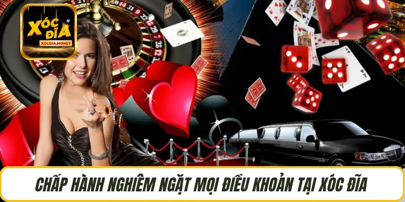 Chấp hành nghiêm ngặt mọi điều khoản tại Xóc Đĩa 