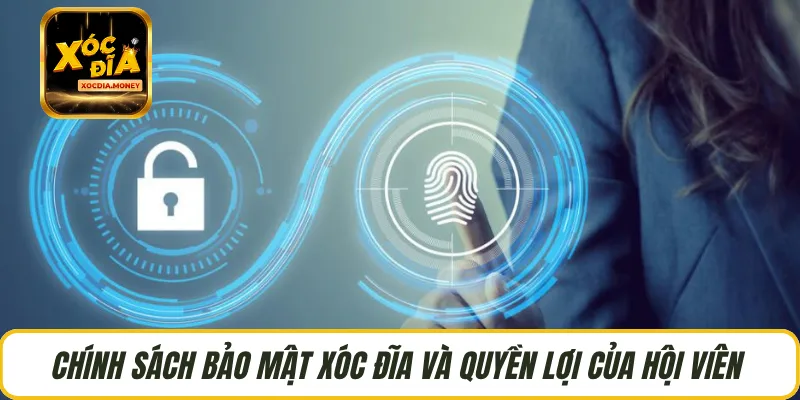 Chính sách bảo mật Xóc Đĩa và quyền lợi của hội viên 