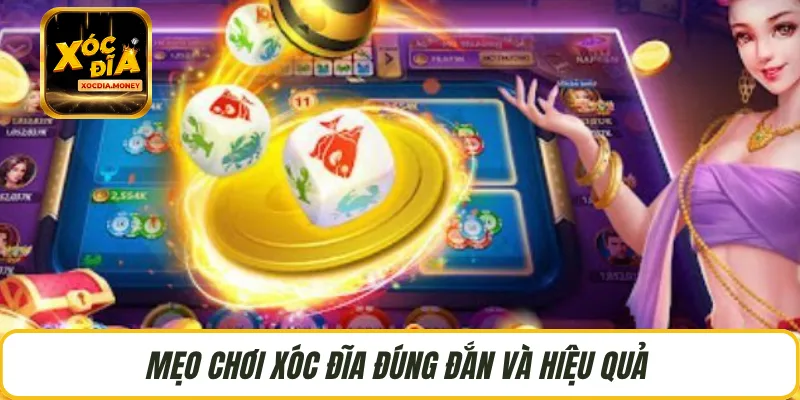 Mẹo chơi xóc đĩa đúng đắn và hiệu quả 