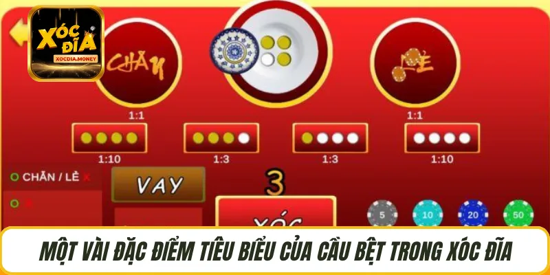 Một vài đặc điểm tiêu biểu của cầu bệt trong xóc đĩa