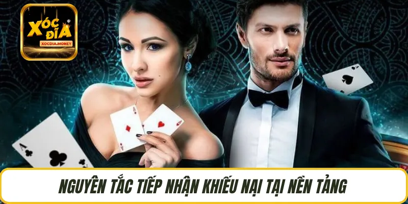 Nguyên tắc tiếp nhận khiếu nại tại nền tảng 