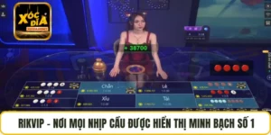 RIKVIP – Nơi Mọi Nhịp Cầu Được Hiển Thị Minh Bạch Số 1