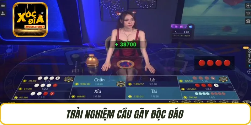 Trải nghiệm cầu gãy độc đáo 