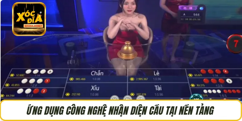 Ứng dụng công nghệ nhận diện cầu tại nền tảng 